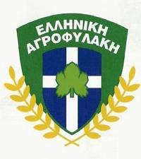 Το σήμα του νέου σώματος
