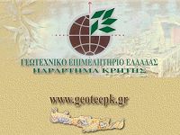 Γεω.Τ.Ε.Ε.