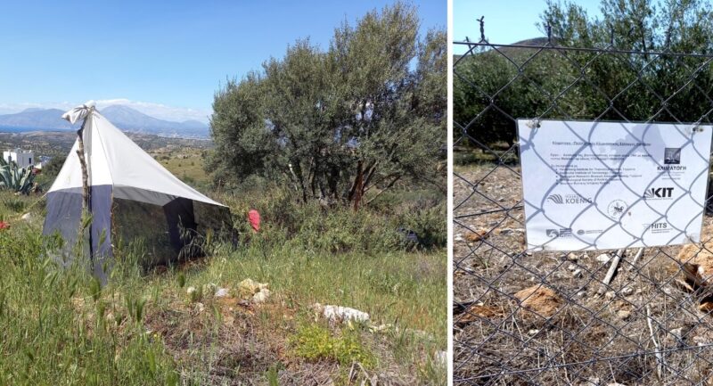 Έργο παρακολούθησης Βιοποικιλότητας Εντόμων Δυτική Μεσσαρά