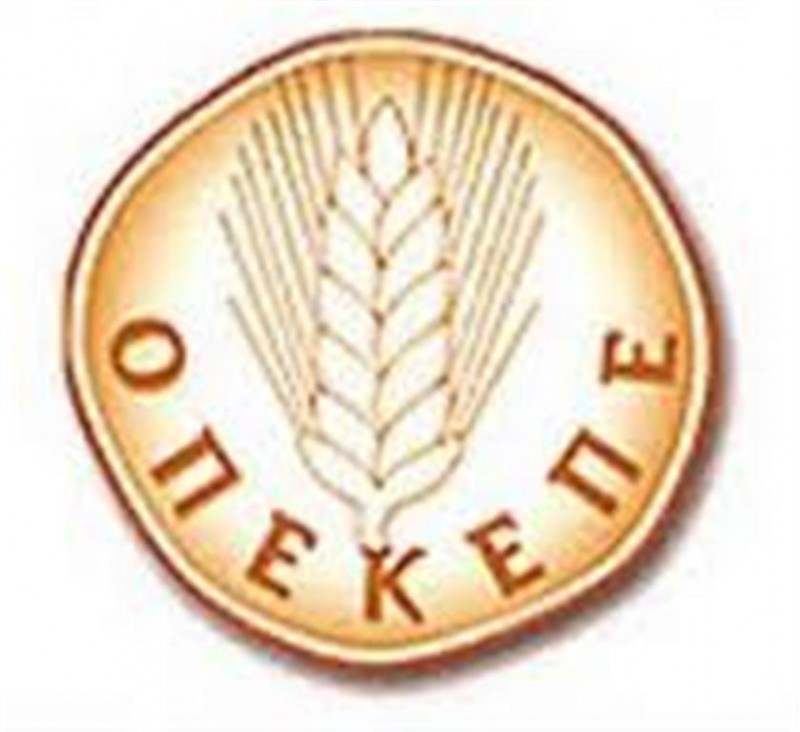 Οργανισμός Πληρωμών και Ελέγχου Κοινοτικών Ενισχύσεων Προσανατολισμού 