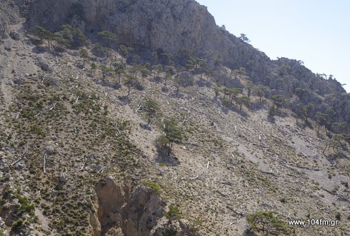 Ορεινό