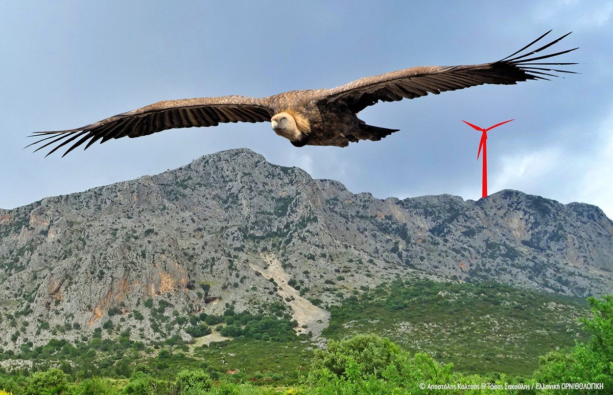 Απόφαση-ορόσημο της ΡΑΑΕΥ για τον θεσμό των Ενεργειακών Κοινοτήτων!