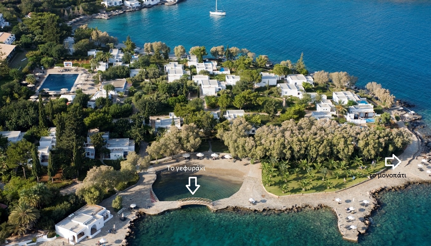 Διυλίζοντας τον κώνωπα στην Ελλάς του 2000