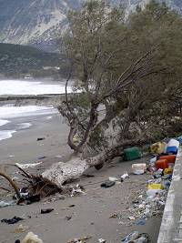 παχεία άμμος
