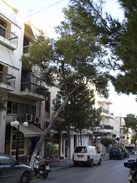 Τα