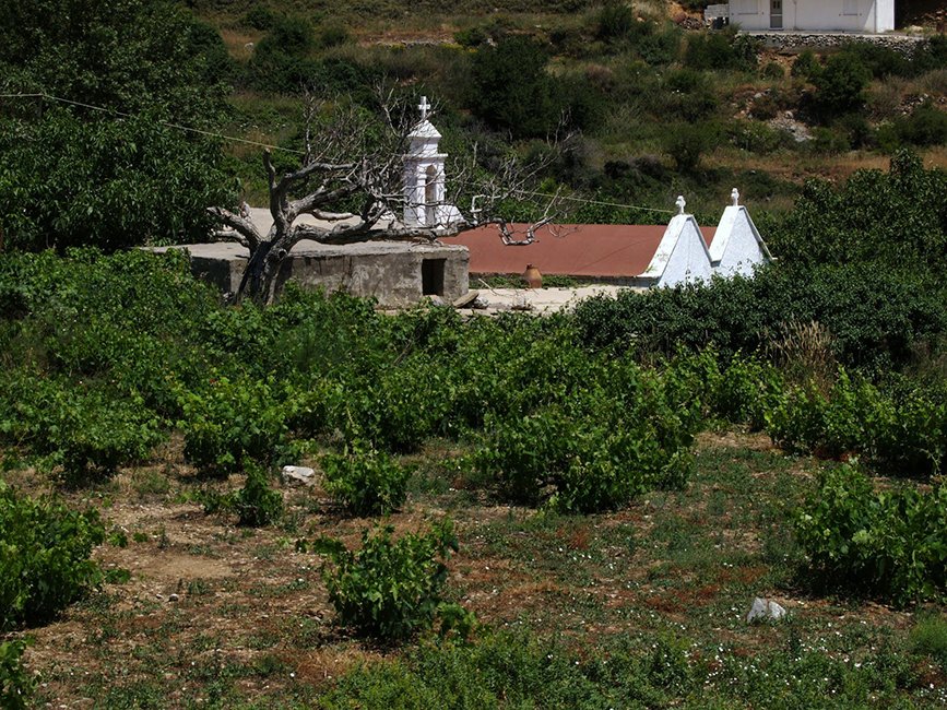 Πανήγυρη Ιερού Ναού Αγίου Νικήτα στον Μπέμπονα
