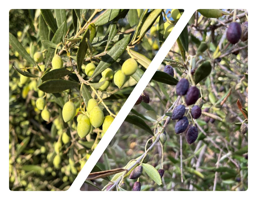 Χειρότερο πράγμα από την ανομβρία είναι η αδικία …