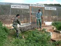 Οι πέρδικες στα κλουβιά έτοιμες για μεταφορά