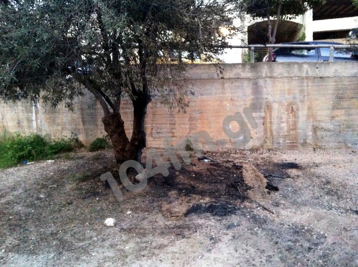 η ελιά τη γλύτωσε λόγω της ταχύτητας της πυροσβεστικής, ενώ δύο αυτοκίνητα κάηκαν ...