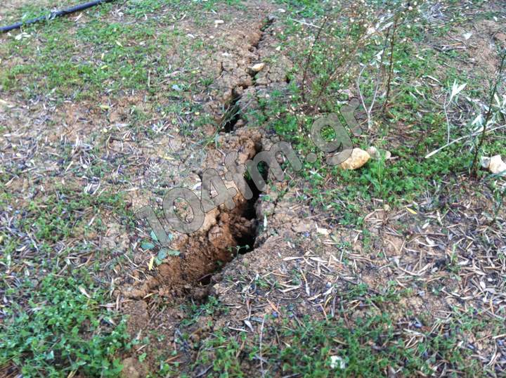 Μεσογειακή Γεωργία ευπάθεια στην Κλιματική Αλλαγή