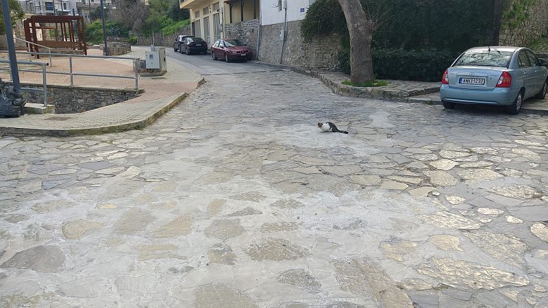Ερώτηση Καφφετζάκη για έργα στη Νεάπολη