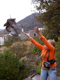 Πτήση προς την ελευθερία