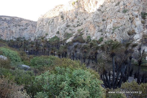 preveli_burnt2