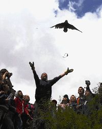 Ξανά ελευθερία !