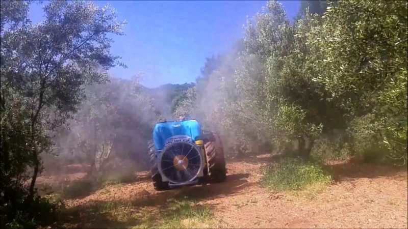 Ο διαγωνισμός για την καταπολέμηση του δάκου