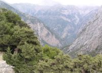 Σαμαριά