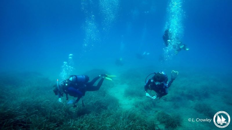 Ποιος Θυμάται το Ναυάγιο του Sea Diamond; 