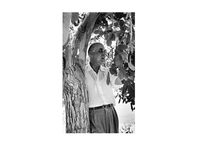 Γιώργος Σεφέρης, «Επί ασπαλάθων...»