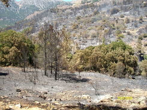 φωτιά στο Σελάκανο