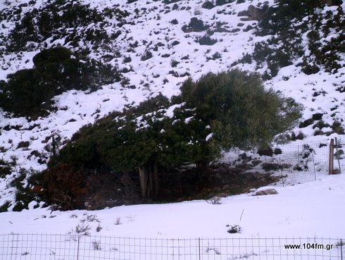 snow3