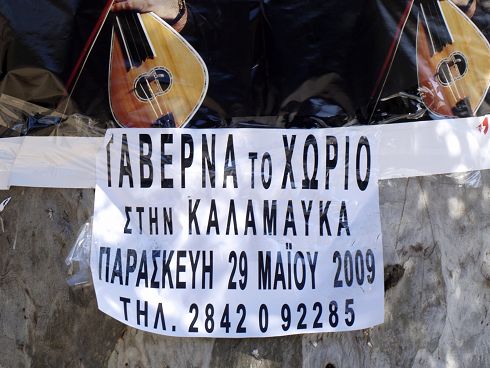 και το επόμενο γλέντι, λίγο πιο πέρα, στον κορμό άλλου δέντρου