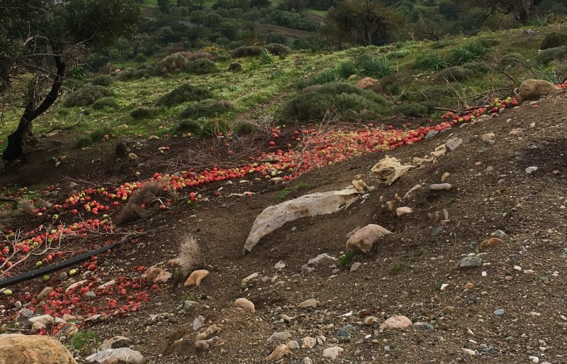 Ερώτηση για μέτρα στήριξης των καλλιεργητών θερμοκηπιακών προϊόντων