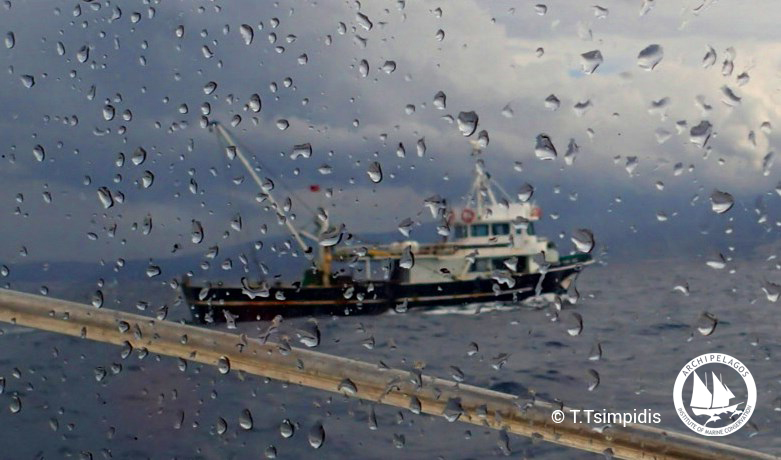 Παγκόσμια Ημέρα Ωκεανών, γιατί η Ε.Ε. στηρίζει την καταστροφή της Μεσογείου;
