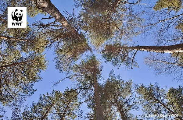 WWF: Μάθε για τις περιοχές Natura