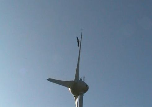 λίγο πριν η σκάρα κτυπηθεί από τα πτερύγια