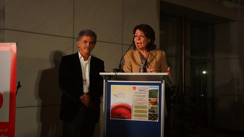 Δανέλλης, Δαμανάκη
