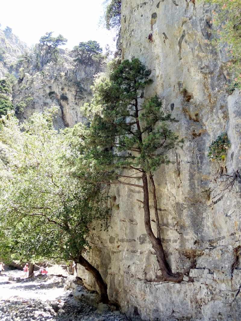 πεζοπορία στο φαράγγι της Ίμπρου