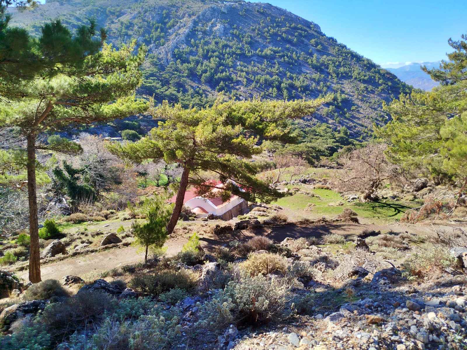 Πεζοπορία στο δάσος της Θρυπτής, κοπή Βασιλόπιτας, οικονομικός απολογισμός