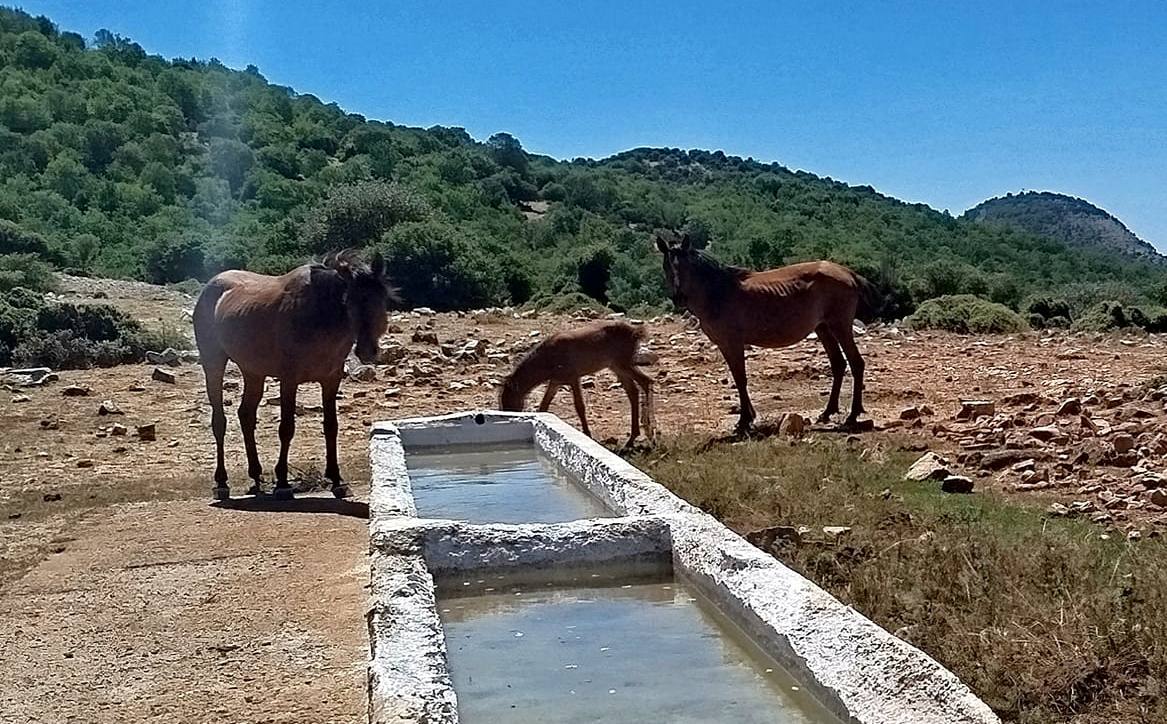Στην 8η διάσχιση του νομού Ξάνθης