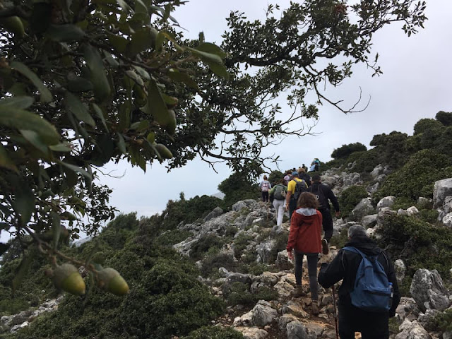 Πεζοπορία στο Αζιλακόδασος