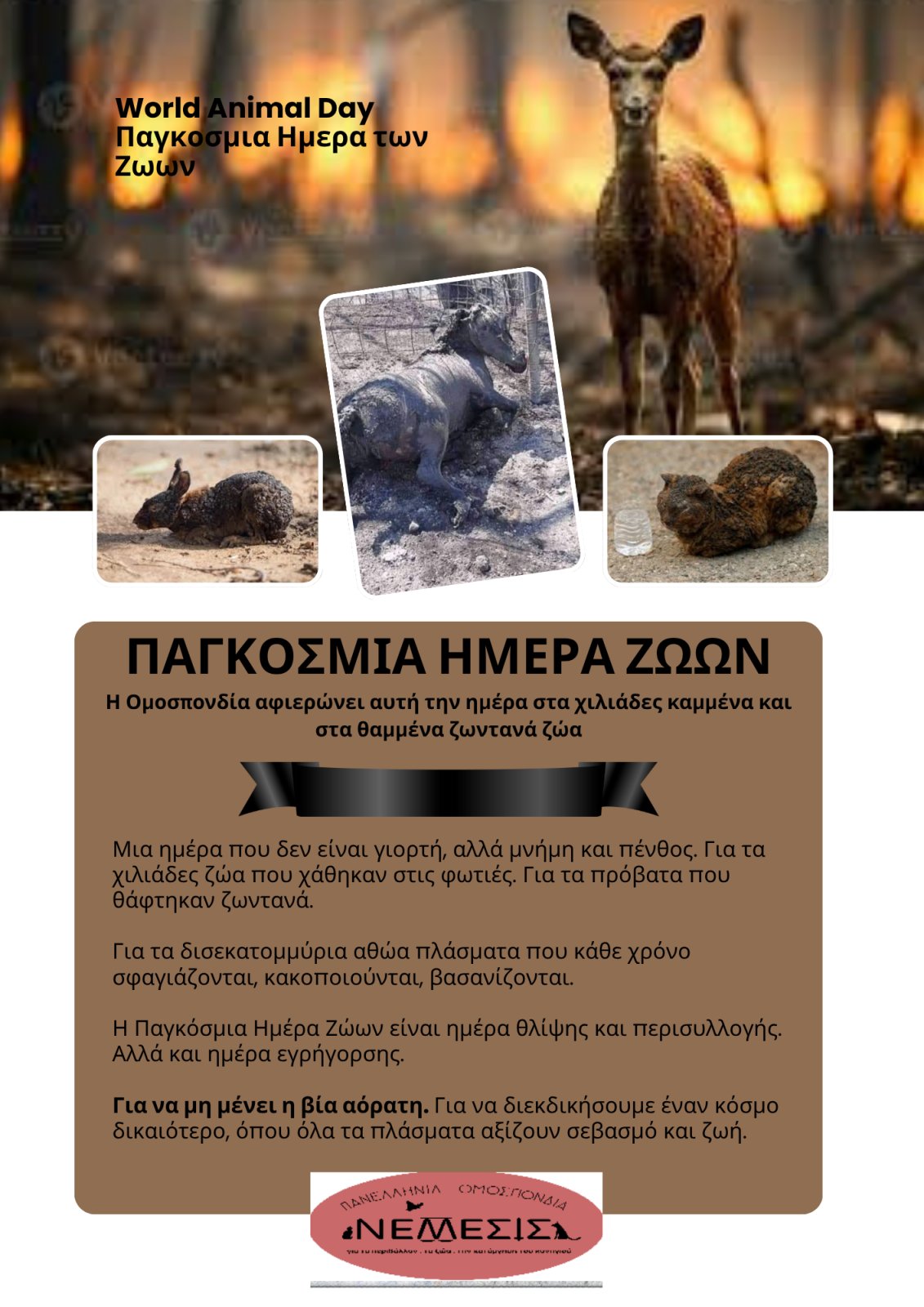 Παγκόσμια Ημέρα των Ζώων – 4 Οκτωβρίου 2025