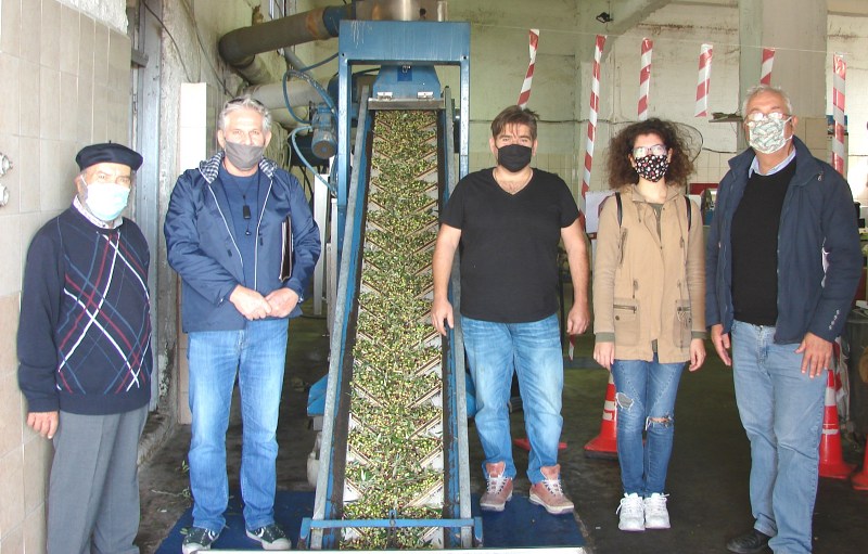 Ελαιόλαδο από αρχαίες ελιές