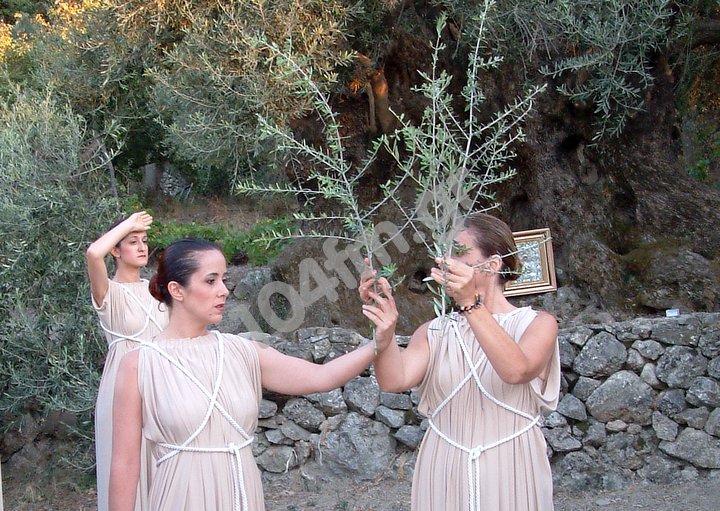 Διατηρητέο μνημείο της φύσης η αρχαία ελιά στο Καβούσι