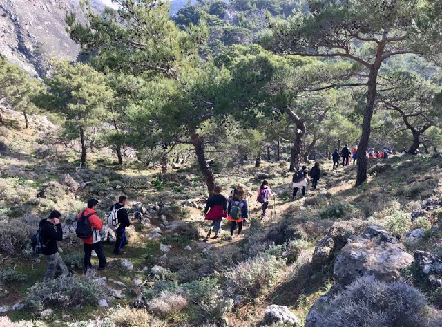Πεζοπορία στη Θρυπτή με τον Ορειβατικό Σύλλογο