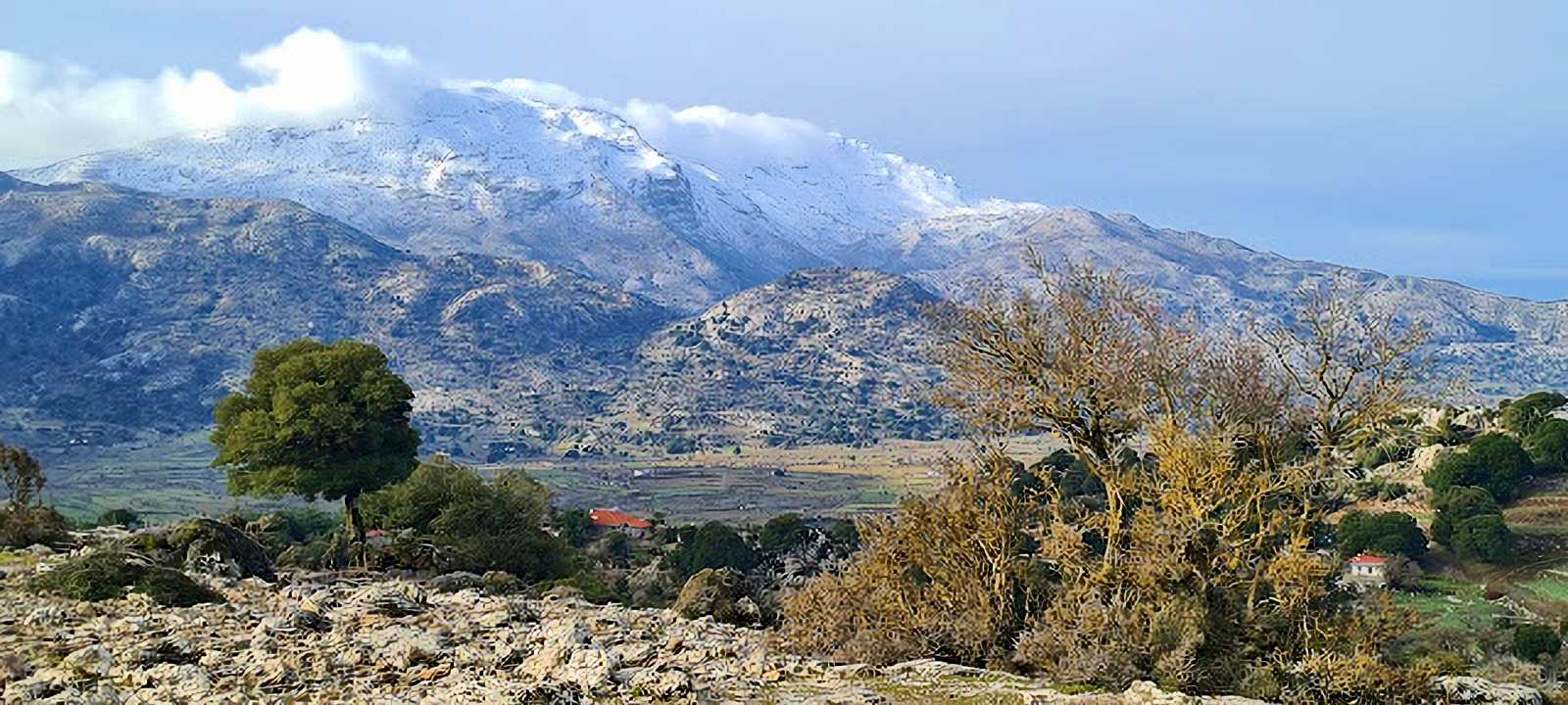 Πεζοπορία στους Ανεφαλάκους (Καθαρό)