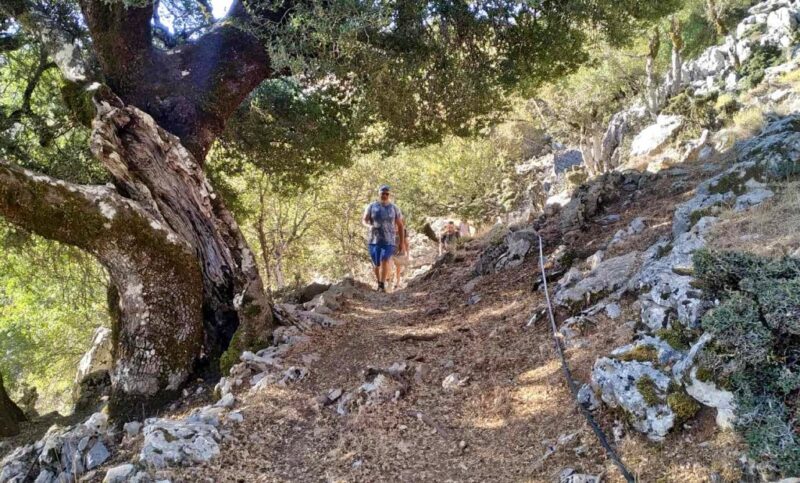 Καθαρό, Κουφάλα Εγγλέζου, Αστιβιδωπό