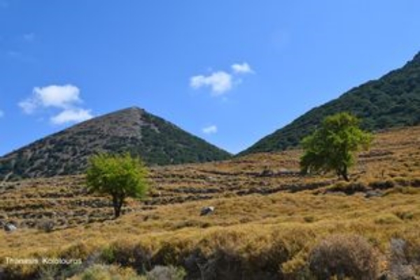Πεζοπορία Κοινοπόταμος - Κουκίστρες (περιοχή Τουρλωτής)
