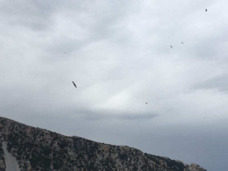 ΕΟΣ Λασιθίου, εξόρμηση - διαμαρτυρία