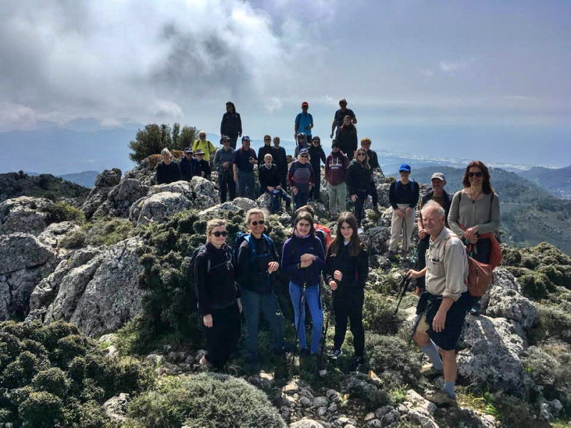 Δάσος Κρούστα, Τούρκισσες, Πευκαλιδιάς, Κοκκιές 