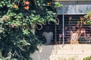 Η Νέα Αριστερά Ηρακλείου για το Μεταναστευτικό / Προσφυγικό ζήτημα