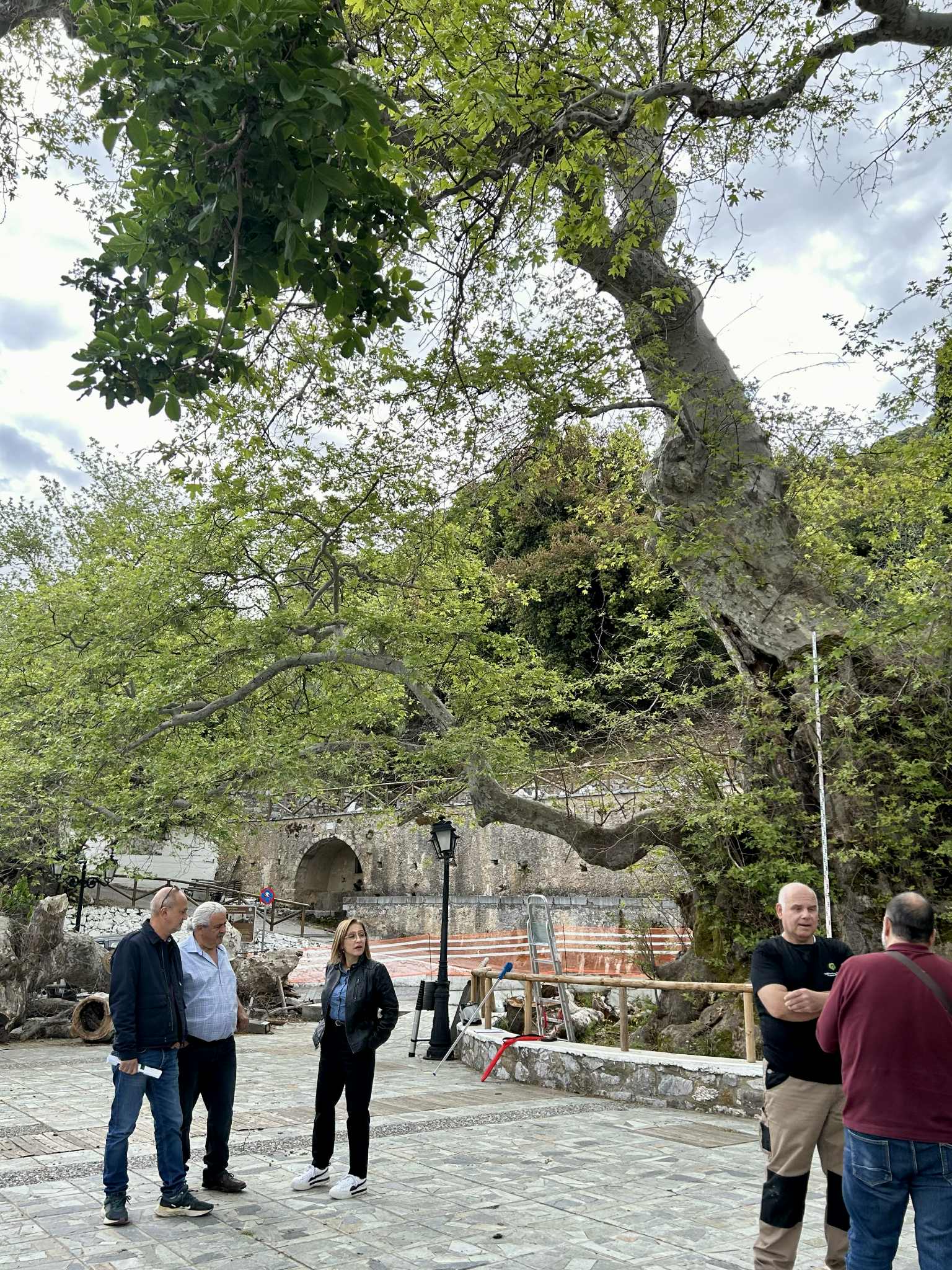 Υλοποίηση δράσεων του Παρατηρητηρίου Αστικού Πρασίνου Κρήτης για την ασφάλεια των δέντρων και τις προδιαγραφές εκτέλεσης έργων