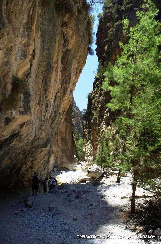 Ορειβατικός Σύλλογος Αγίου Νικολάου στη Σαμαριά