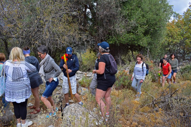 Εθελοντικός Τουρισμός και Οικοτουριστική ανάπτυξη της υπαίθρου