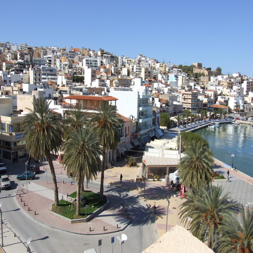 οι φοίνικες στη πλατεία, με ύψος και κλίση