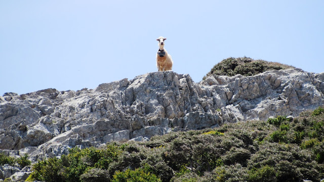 Ανάβαση στη Τσίβη