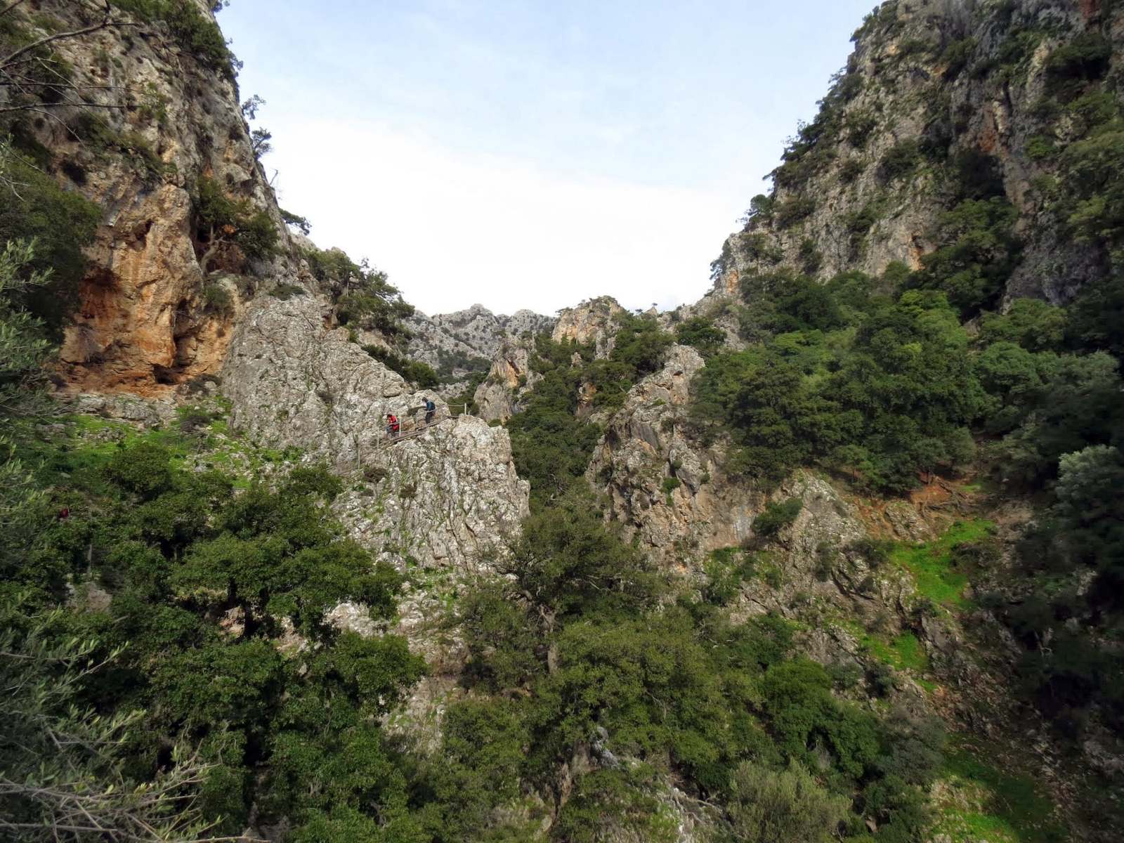 Πεζοπορία στο φαράγγι Πλατανιών (Φουρφουράς Ρεθύμνου)